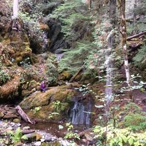 Meet your Posher, Ami